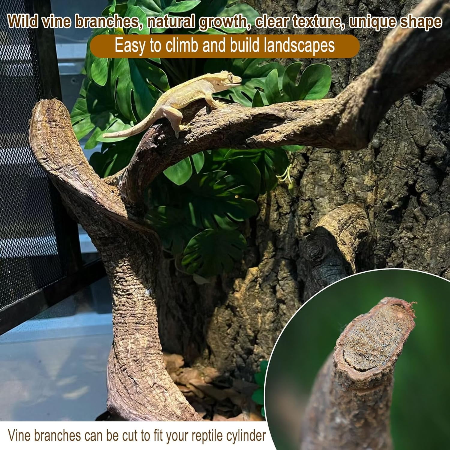 kathson Reptile Forest Climbing Branch Decor, Crested Gecko Climb Wood, Natural Branches Tree for Snake Frog Chameleon Spider Bearded Dragon Terrarium Habitat Tank Accessories,6PCS