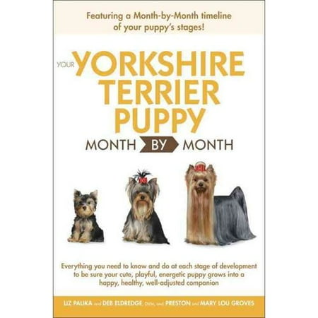 Your Yorkshire Terrier Puppy Month by Month