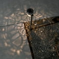 thumbnail image 5 of Crosslight Solar Warm White 1.2 V LED Landscape and Walkway Light (Set of 4), 5 of 5