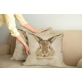 thumbnail image 3 of Ambesonne Vintage Throw Pillow Cover 2 Pack, Dots Bunny Geometric, 20", Pale Brown, 3 of 6