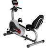 Ironman 1711 Recumbent Exercise Bike