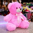 thumbnail image 3 of PELUCHERIA - Oso de Peluche 25 cm Everbear, Suave y Resistente, Ideal para Regalo (Rosa), 3 of 5