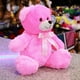 thumbnail image 3 of PELUCHERIA - Oso de Peluche 25 cm Everbear, Suave y Resistente, Ideal para Regalo (Rosa), 3 of 5