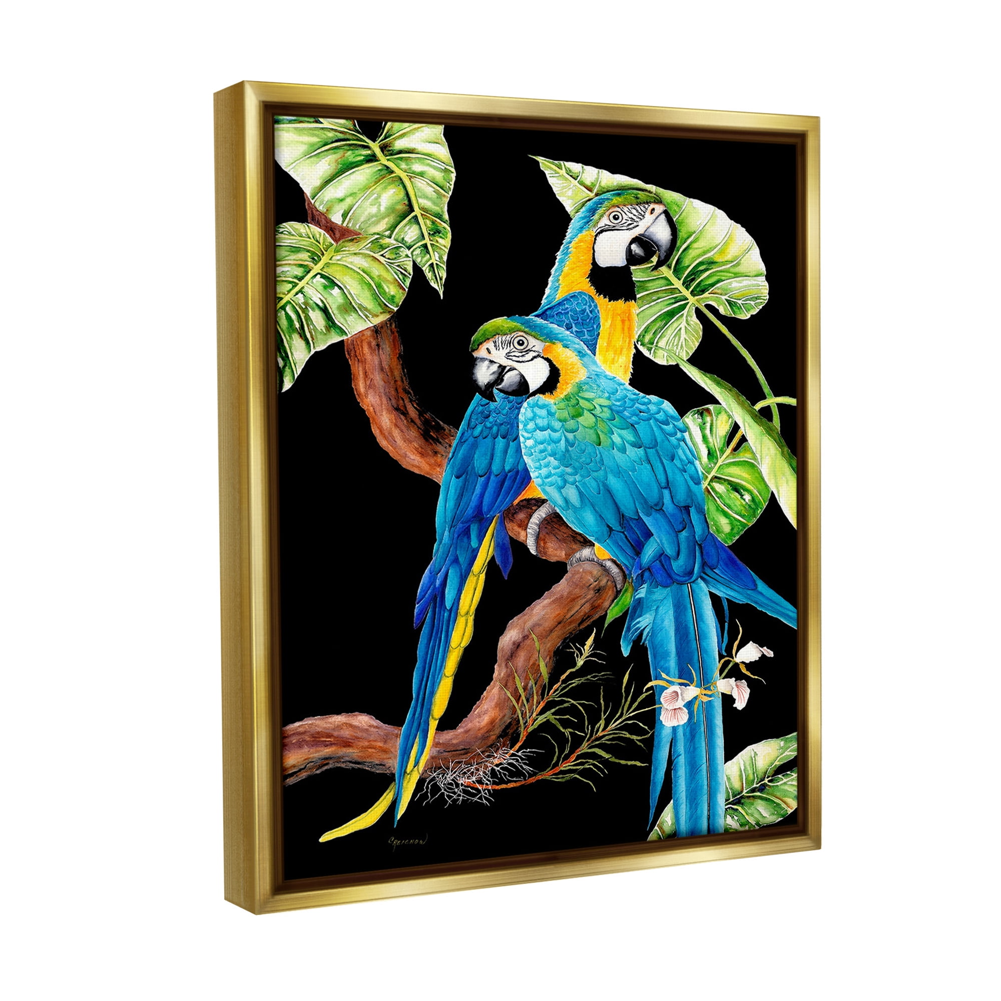 Stupell Industries Parrots Perched on Branch Animals & Insects Painting Gold Floater Framed Canvas Art Print Wall Art, 25 x 31