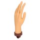 thumbnail image 1 of Mano falsa mano de maniquí de PVC flexible reutilizable para salón de uñas para el hogar ANGGREK Otros, 1 of 8