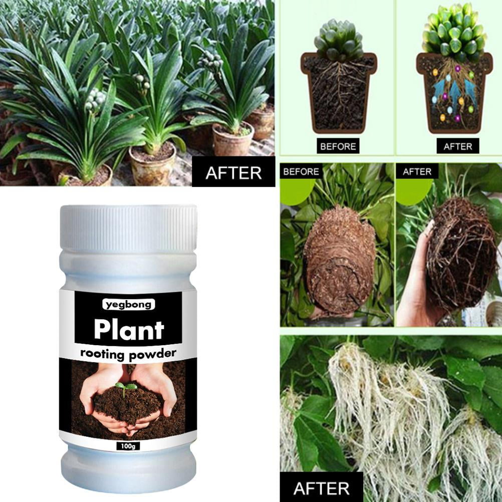 Lutun Quick Rooting Powder,Instant Rooting Solution,Rapid Growth Transplant Fertilizer for Plants and Flowers