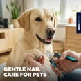 thumbnail image 4 of JEEXI Blue Dog Nail Clippers and Trimmer With Safety Guard, Avoid Over-Cutting Toenail Razor Sharp Blades, Small Medium Large Breeds, 4 of 10
