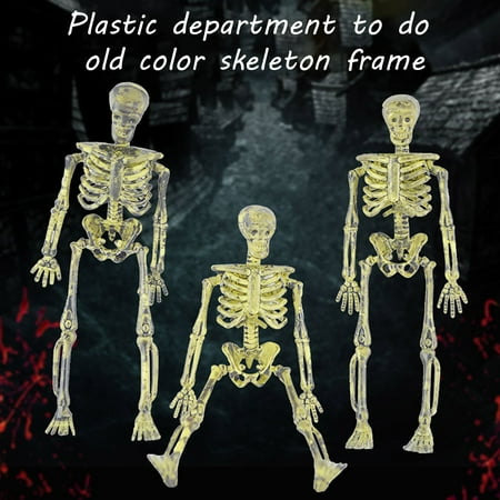 

Full Body Skeleton Party Decoration Prop 2PCS Colorful Ornament Set Second Christmas Together Ornament Ornament Pretty Teacher Ornament Bulk Daughter Christmas Ornament Sparkly Christmas Ornament