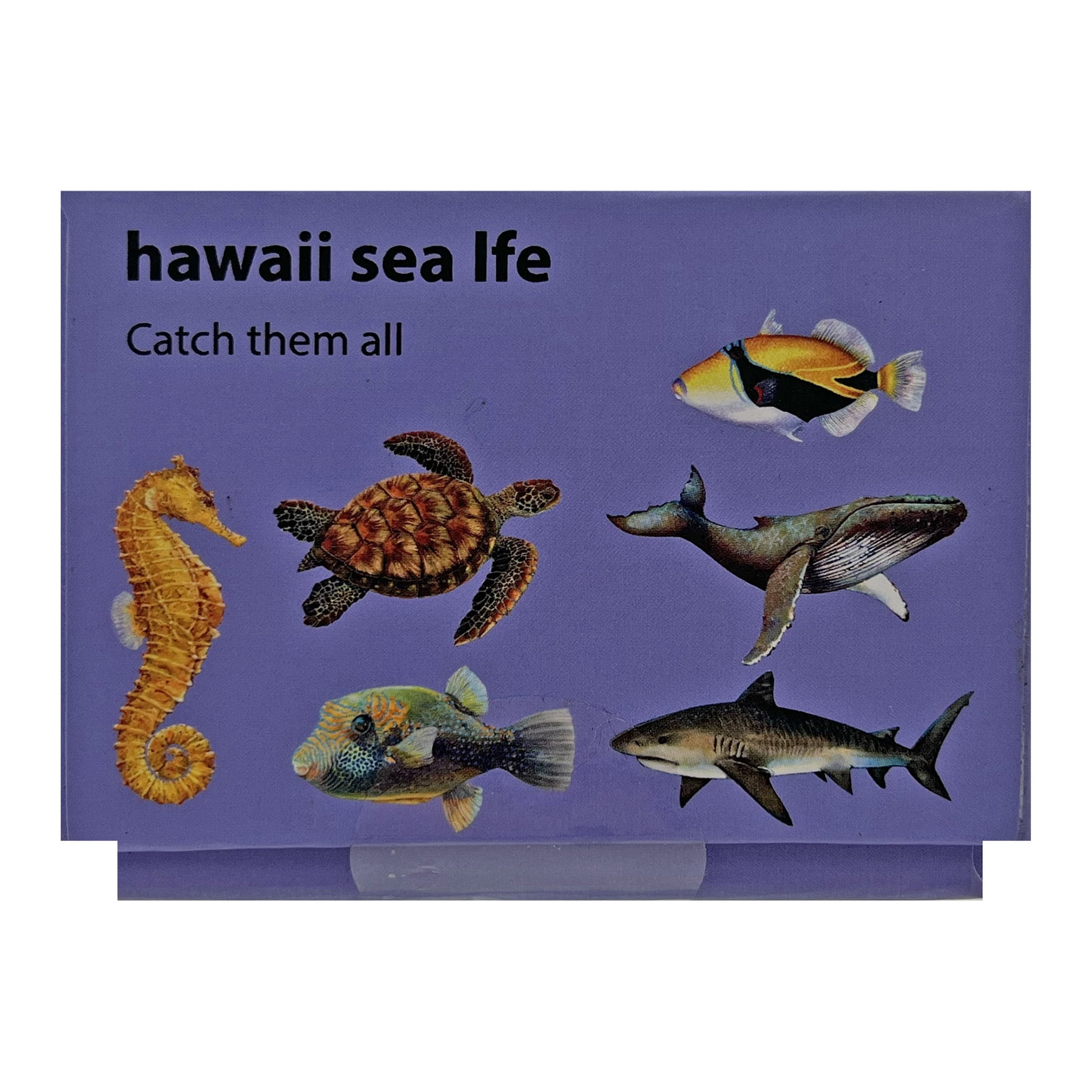 Hawaiian Collectible Wiki Wiki 20 Minute Whale Puzzle