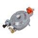 thumbnail image 1 of Regulador De Presión De Combustible Del Carburador Del Motor 30 A 1560 Kpa Presión De Admisión 152F Válvula Reguladora Del Carburador Del Motor De Agua Gasolina Para Automóvil Camión Furgoneta, 1 of 7