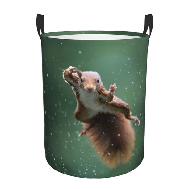 Fotbe Squirrel Cesto de Ropa con Asas, Cesto Impermeable de Gran Capacidad, Bolsa de Lavado para Dormitorio, Cesto de Ropa con Ruedas y Asas-Small