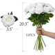 thumbnail image 4 of ZOELNIC 24 rosas artificiales, rosas blancas falsas con tallos, ramo de rosas de seda para centros de mesa de boda, despedida de soltera, decoración de mesa para el hogar, 4 of 7