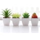 thumbnail image 1 of Paquete de 4 plantas pequeñas suculentas falsas suculentas artificiales de imitación mini suculentas de plástico en maceta para la decoración del escritorio de la sala de estar de la oficina del hogar Xemadio CZJJ-HQ69, 1 of 7