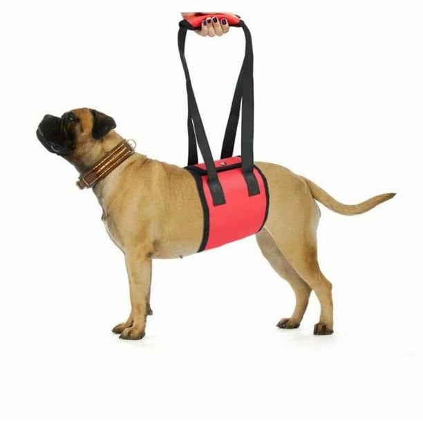 Cinturón transportador para mascotas, cinturón transportador para perros, cinturón de asistencia para mascotas, cinturón protector para mascotas, cinturón protector para perros, suministros para mascotas (rojo L) LingWen 8390615561112