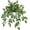 Green Style#3, variant on Plants Indoor Fake Potted Silk Plants Faux Watermelon Peperomia Draping Plant for Home Office Bathroom Shelf Cabinet Tabletop Decoration(Green - 1 Pack)