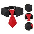 thumbnail image 2 of CSChome Collier pour Animaux de Compagnie avec Anneau en D Boucle Réglable Polyester Cravate Cosplay pour Chien, 2 of 7