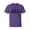 Purple, variant on Baseball Dad Adult Short Sleeve T-shirt