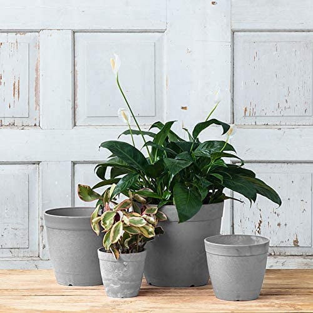 Root & Vessel Dolce Round Planter, Gray, 6"