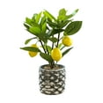 thumbnail image 1 of Yuedong Flower Pot Home Decoration Simulation Lemon Arrangement Shooting Yellow 15-40cm Injection Molded Stem Artificial Plant, 1 of 8