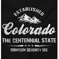 thumbnail image 2 of Colorado CO Centennial State Souvenir Unisex Plus Fleece Graphic Hoodie Brisco Brands 2X, 2 of 3