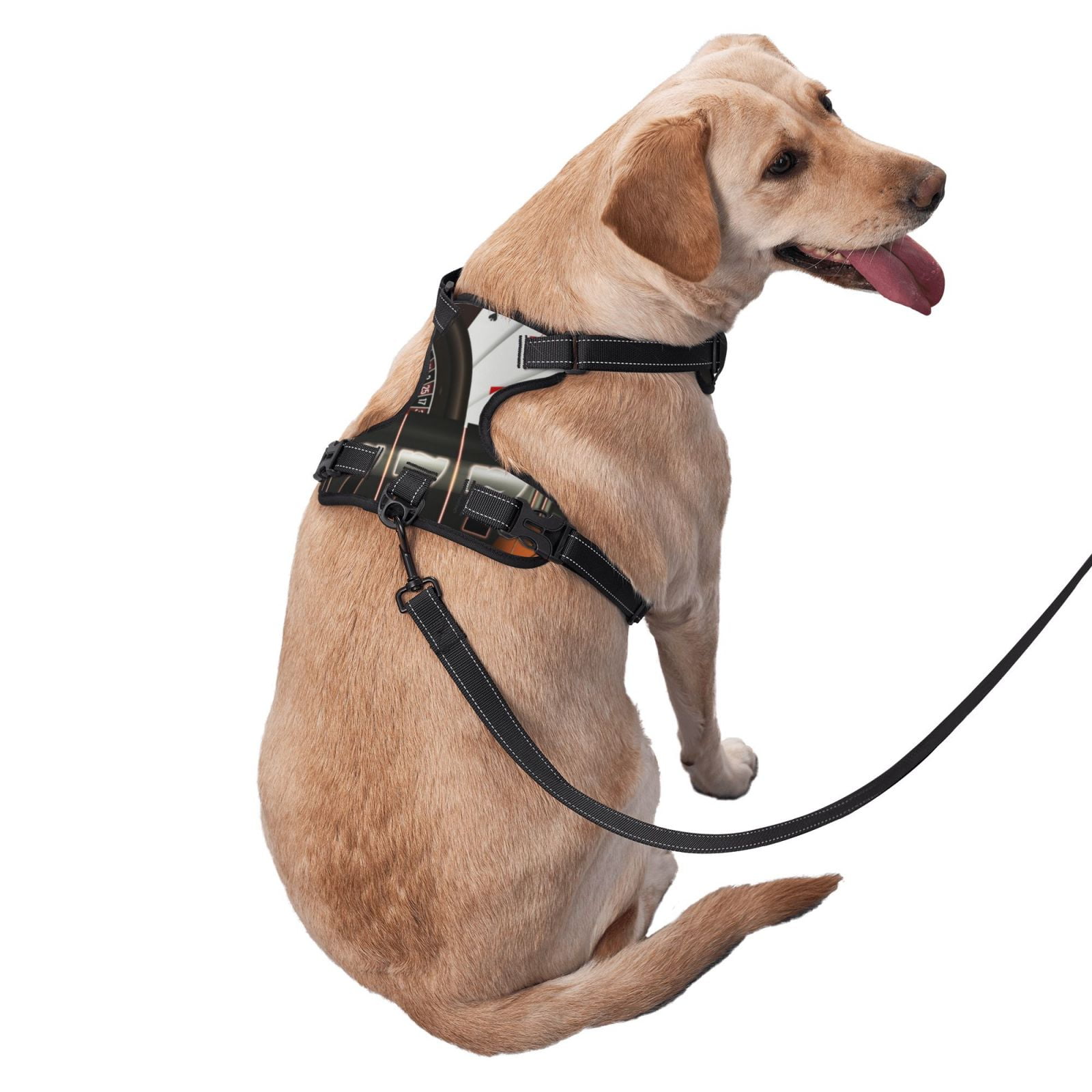 Vsdgher Casino And Sports Dog Harness, No-Pull Pet Harness, Dog Vest, Pet Vest for Small to Large Dogs-Medium