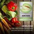 thumbnail image 7 of Green Flesh Honeydew Melon Seeds, 7 of 7