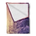 thumbnail image 2 of Winter Soft Flannel Fleece Throw Blanket, Dramatic Wintry Scene Idyllic Landscape with Rising Sun Natural Park Retro Effect, Cozy Plush for Indoor and Outdoor Use, 60" x 80", Multicolor, by Ambesonne, 2 of 5