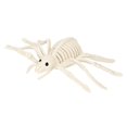 thumbnail image 3 of Esqueleto de araña de Halloween, decoración de Halloween, esqueleto de animal, accesorio de fiesta aterrador para patio trasero, 3 of 9