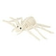 thumbnail image 3 of Esqueleto de araña de Halloween, esqueleto de animal, decoración de Halloween, accesorio de fiesta para fiesta en el jardín, fiesta, casa embrujada,, 3 of 8