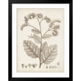 thumbnail image 2 of Art.com Antique Sepia Botanicals IV Art Print by 0 Unknown, Black Frame Wall Art, 32" x 40", 2 of 5