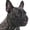 Black, variant on Nextone French Bulldog Mask, Soft and Breathable Short Nose Dog Mask for Walking, Suitable for Training, Beauty, Nail Trimming, Veterinary Visits