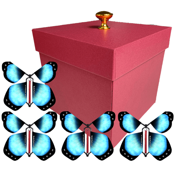 Flying Butterfly Gift Box