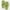 Green, variant on Shower Shoes for Women Men, Comfortable Quick Drying Shower Slippers Non-Slip Pool Beach Bathroom Travel Slippers Lightweight House Slippers
