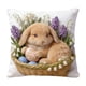 thumbnail image 2 of CaiYueKe Easter Decorative Throw Pillow Covers Cute Embroidery Accent Pillowcases Soft Short Lint Decorative Cushion Covers for Sofa Bedroom Living Room Home Decor Cozy Farmhouse Decor Pillow Shams, 2 of 7