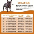 thumbnail image 2 of Sparkling Cuban-Style Dog Collar with Secure Buckle - Perfect for Your Furry Friend!, 2 of 5