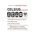 thumbnail image 4 of CELSIUS Sparkling Raspberry Peach, Functional Essential Energy Drink 12 Fl Oz (Pack of 12), 4 of 5