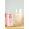 thumbnail image 4 of AmishTastes Frannies Sparkling Pink Pomelo Paloma, Protected With High-Density Foam, 12 Oz. 12 Ounce Case of 24, 4 of 8