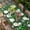 White Green Dark Green, variant on St. Patrick's Day Table Cloths for 3 Foot Rectangle Tables, Green Black Plaid Lucky Clovers Check Patio Waterproof Elastic Fitted Tablecloths, Washable Rectangular Table Cover for Camping