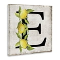 thumbnail image 2 of Stupell Industries Rustic Lodge E with Lemon Letter Canvas Art, 30 x 30, by Creatif Belle, 2 of 7