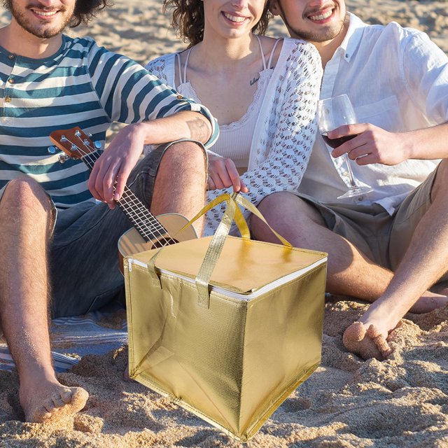WHAMVOX Bolsa Aislante Para Comida Con Estable Para Picnic Viajes Y