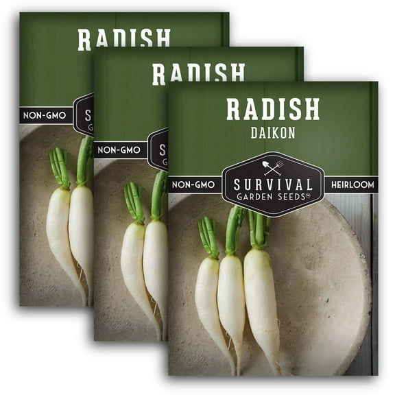 3 Packs Daikon Radish Seeds - Non-GMO Heirloom Full Sun Biennial Vegetable