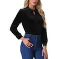 thumbnail image 4 of INSPIRE CHIC Velvet Top for Women's Stand Collar Long Sleeve Elegant Casual Blouse L Black, 4 of 5