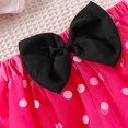 thumbnail image 2 of HAYIMI Outfit Sets Cute Baby Toddler Girl My 1st / 2nd / 3rd Birthday Dress Cotton Short Sleeved Tule Dress A-Line Princess Party Dresses With Headband Outfit For Easy to Mix Match, 2 of 8