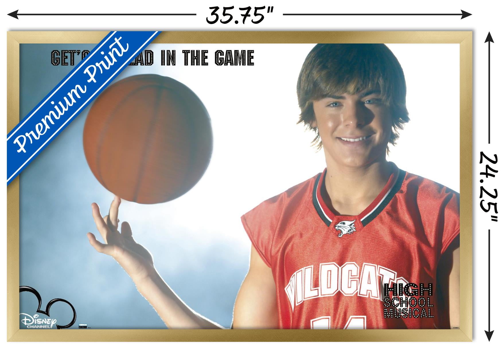 High School Musical - Troy - Game Wall Poster, 22.375" x 34" Framed