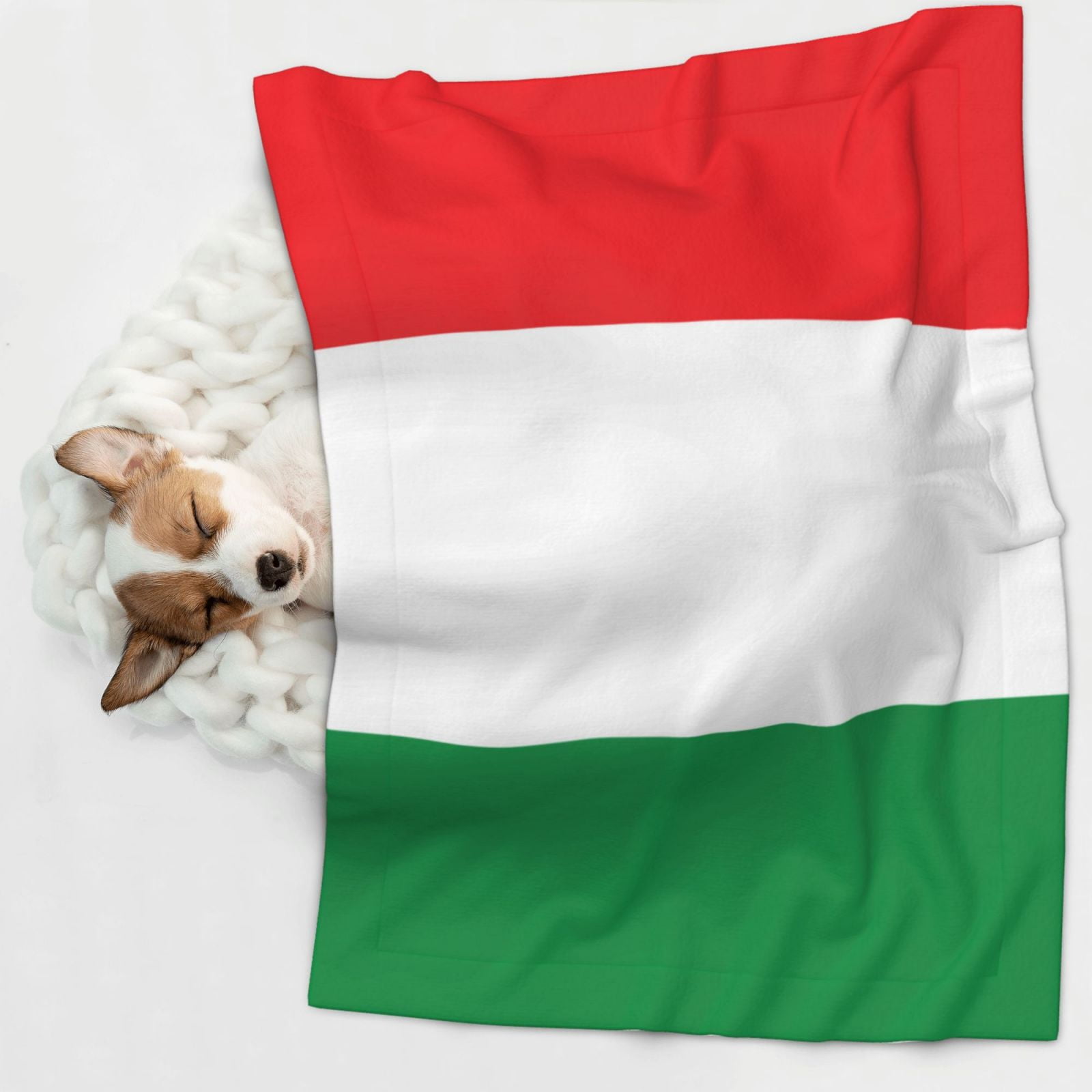 Flannel Throw Dog Blanket Italian Flag Soft Warm Print Pet Blankets for Small Dog Cat Puppy