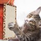 thumbnail image 2 of Wdftyju Pet Fish Shaped Sisal Cat Scratch Mat Juguetes Muebles Alfombra Protector Pad Board Wdftyju 3ek6yb2fa6cz2nd2D02, 2 of 8