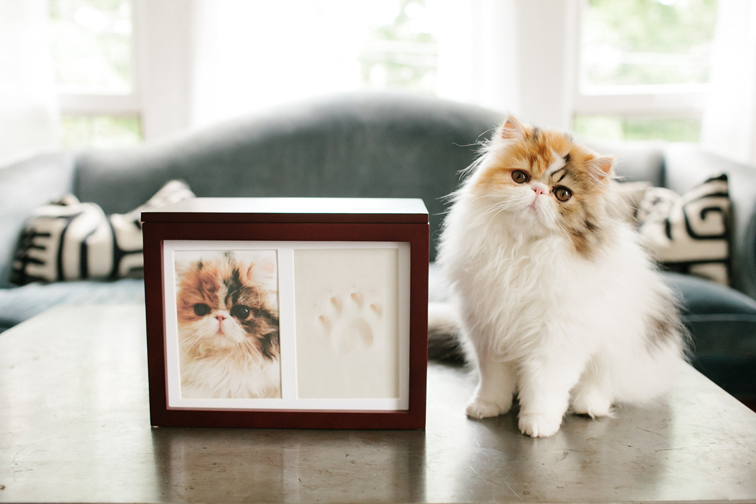 PETT Pet paw print frame with clay print kit and photo display