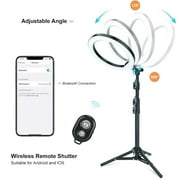 LINCO T-Shape Backdrop Stand with Green Screen & 10 Ring Light Stand Lighting Kit for TikTok