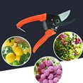 thumbnail image 5 of 7" Garden Scissors Pruning Shears for Comfy Trimming Plant, Suitable for Cutting Flowers, Branches, and More, 5 of 7