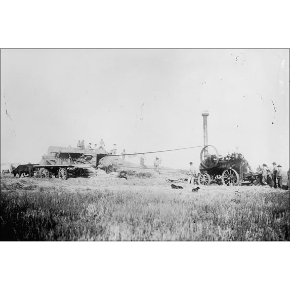 24"x36" Gallery Poster, Threshing scene, Buenos Aires, between 1908 and 1919